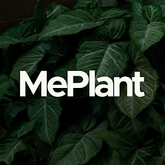 YouPlant - care about plants